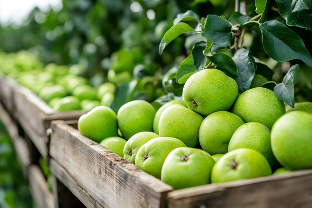 Crisp Green Apple White Balsamic Vinegar